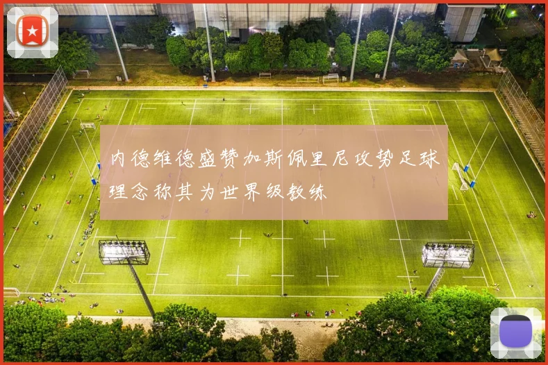 内德维德盛赞加斯佩里尼攻势足球理念称其为世界级教练