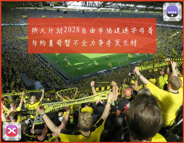 热火计划2028自由市场追逐字母哥与约基奇暂不全力争夺莫兰特