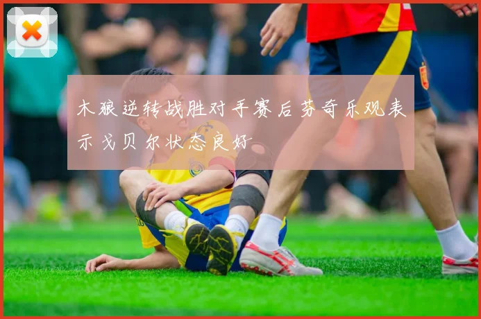 木狼逆转战胜对手赛后芬奇乐观表示戈贝尔状态良好